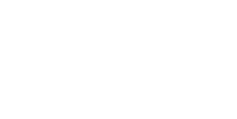 logo_travelwifi_white